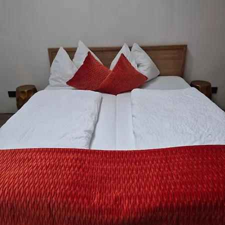 Adler 哥林素萨尔察赫