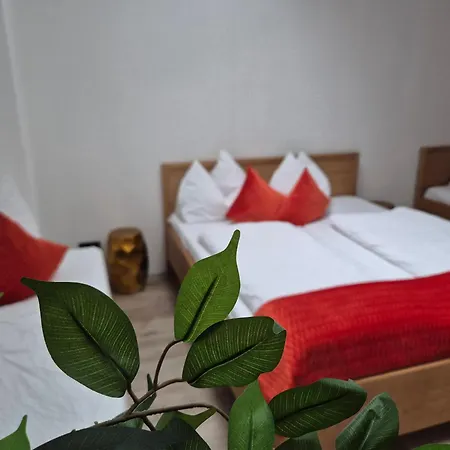 Adler 酒店 哥林素萨尔察赫